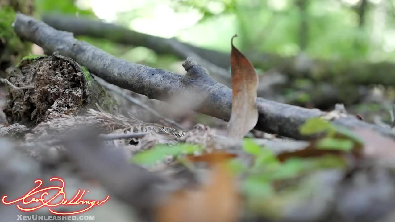 XevUnleashed Outdoor Blowjob For Water - Porn video | ePornXXX