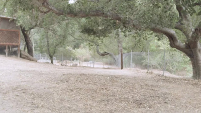 TrueLesbian Jane Wilde and April Olsen Bad Reputation