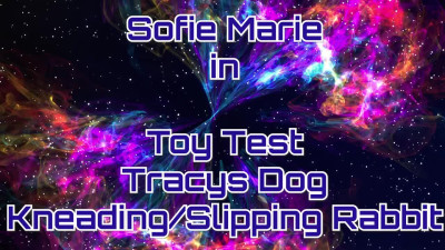SofieMarie White Fur Gold Shorts Chair And Toy Test