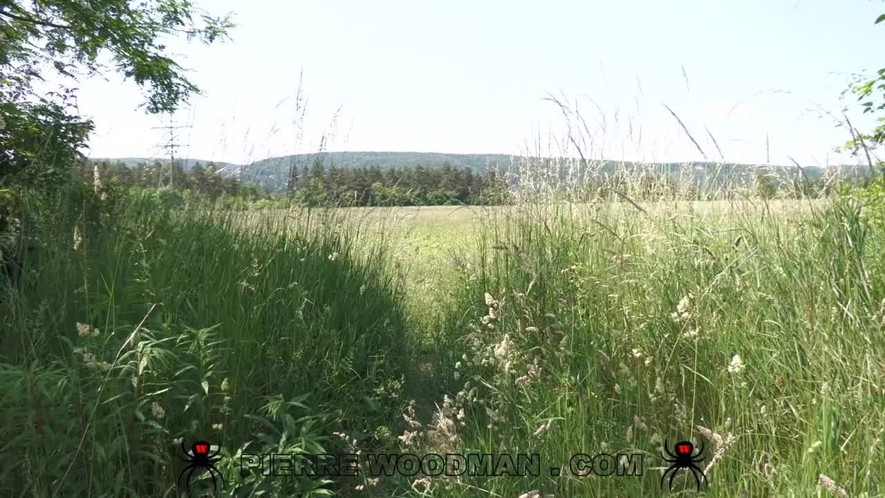 WoodmanCastingX Barby Flower Area X - Porn video | ePornXXX