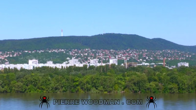 WoodmanCastingX Sharon White Area X