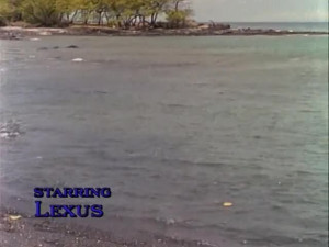 Shipwreck WEBRiP
