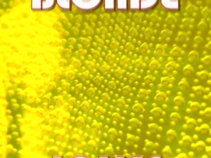 Blonde Jokes WEBRiP GUSH