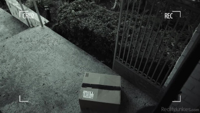 RealityJunkies Petra Blair Extra Large Package