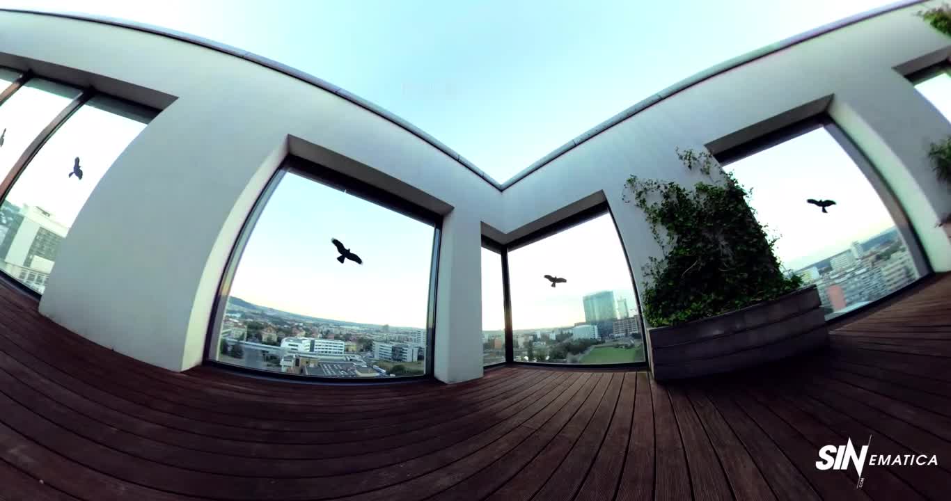 SINematica Vinna Reed Roof Top Action - Porn video | ePornXXX