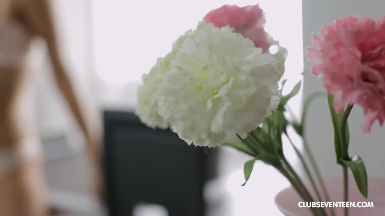 ClubSeventeen Carre Solo INTERNAL - Porn video | ePornXXX
