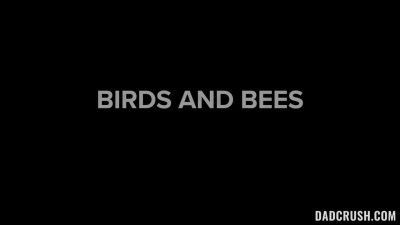 DadCrush Satine Summers Backdoor Birds And Bees WRB
